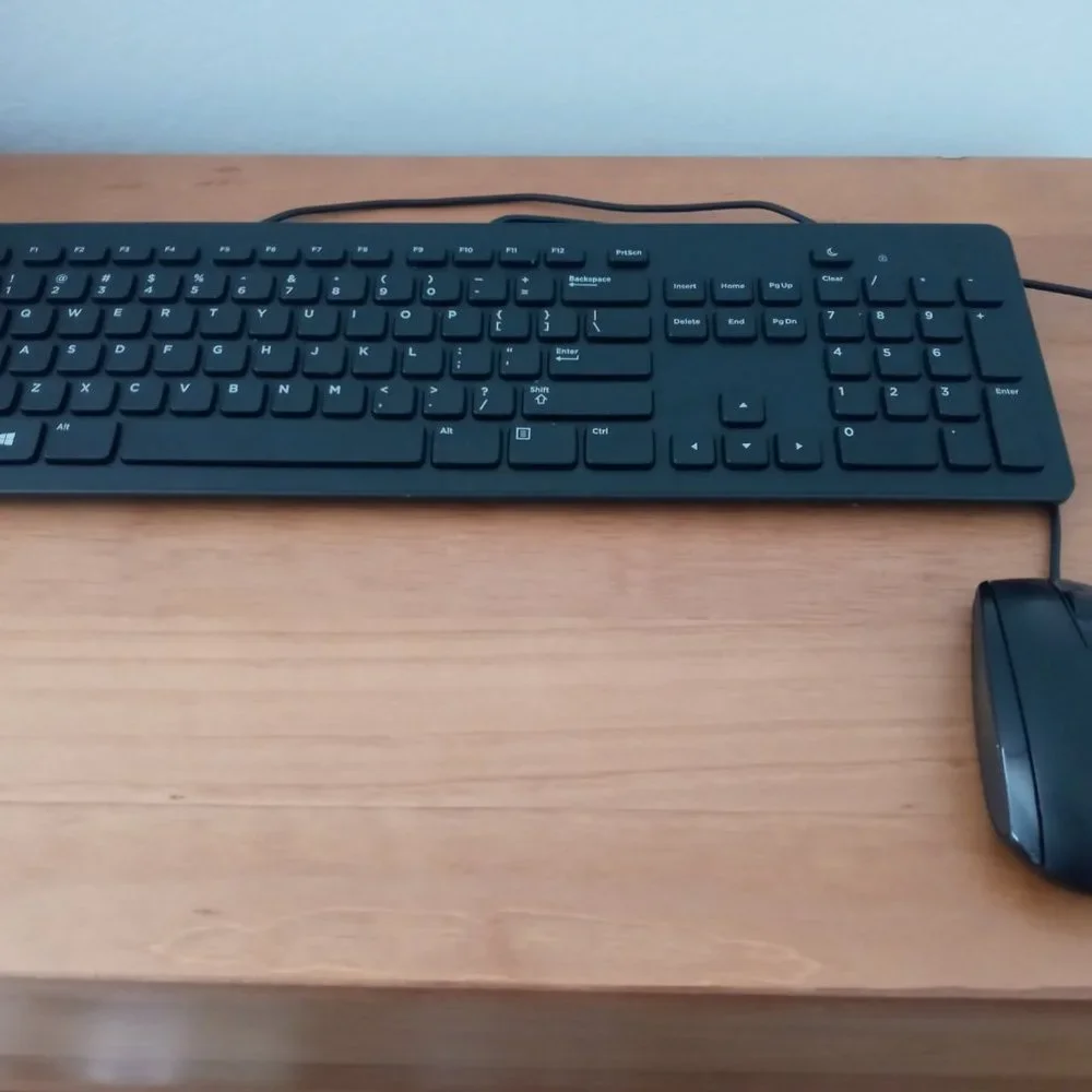 Dell Wired Mouse and Keyboard